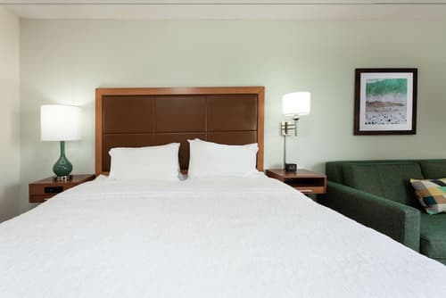 Hampton Inn Orlando International Drive/Convention Center, Room