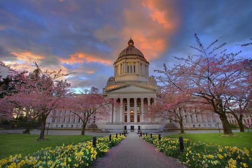 Spark by Hilton Tumwater