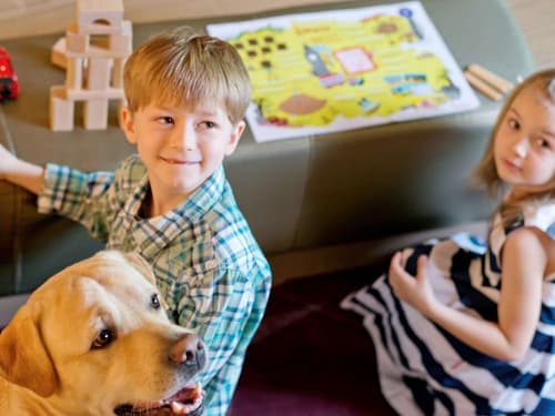 Novotel Strasbourg Centre Halles