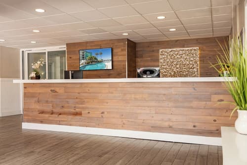 Palm Tree Club Miami Hotel, Reception