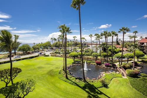 Castle Kama'ole Sands, Primary image