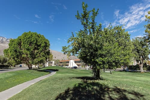 Travelodge by Wyndham Palm Springs, BBQ/picnic area