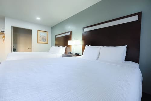 Quality Inn Holbrook near Petrified Forest, Room