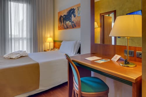 Hotel Raffaello, Room