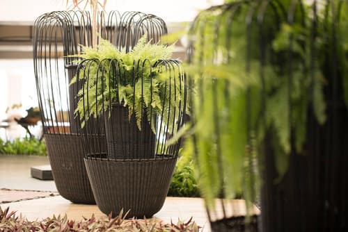 Waikoloa Beach Marriott Resort & Spa, Lobby