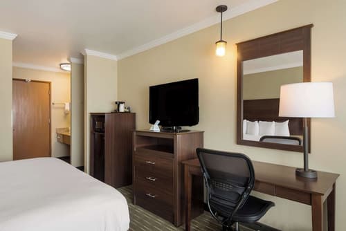 Best Western Holiday Hotel, Room