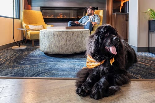 Accent Inns Victoria, Lobby sitting area