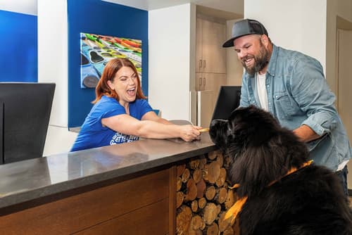 Accent Inns Victoria, Reception