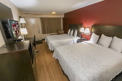Red Roof Inn PLUS+ St Louis - Forest Park/ Hampton Ave , Room