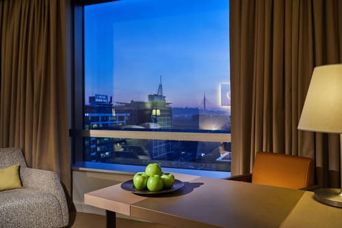 Hyatt Regency Belgrade, Room