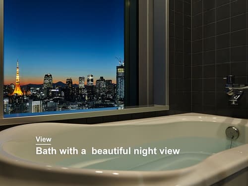 Mitsui Garden Hotel Ginza Premier