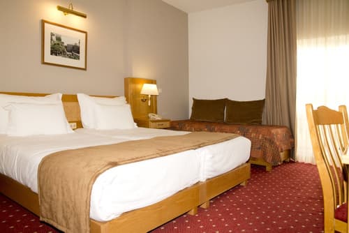 Hotel Rainha D. Amelia, Arts & Leisure, Room