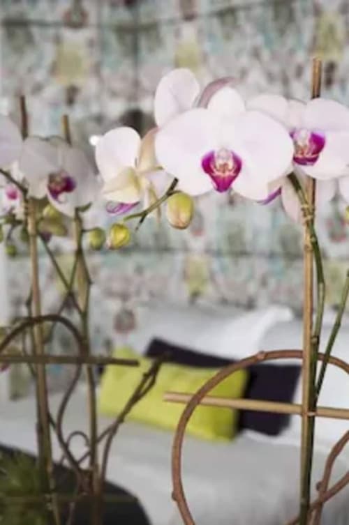 Dream Midtown, by Hyatt