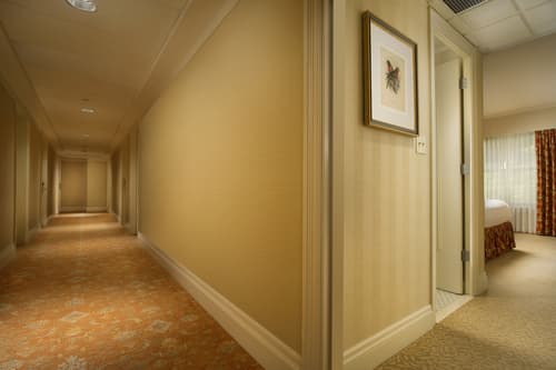 Mayflower Park Hotel, Room