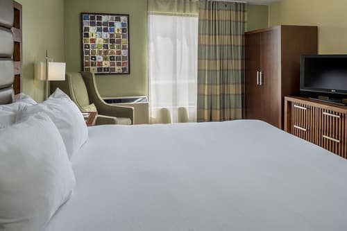 DoubleTree by Hilton Collinsville - St. Louis, Room