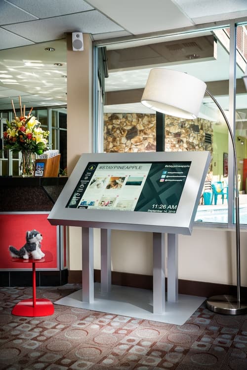 Staypineapple, University Inn, University District Seattle