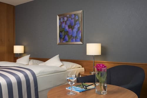 Maritim Hotel Ulm, Room
