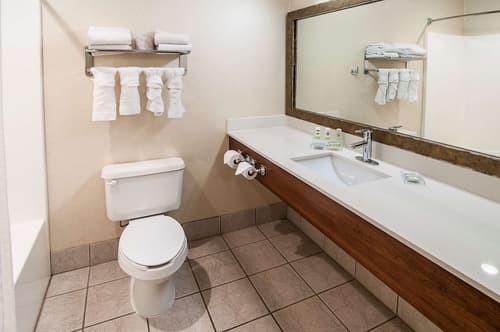Country Inn & Suites by Radisson, Rapid City, SD, Room