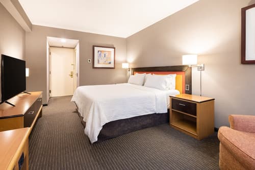 Holiday Inn Express Puerto Madero by IHG, Room