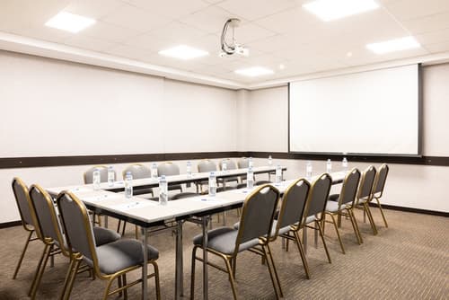 Holiday Inn Express Puerto Madero by IHG, Meeting facility