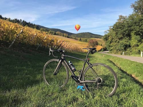 Logis Hôtel Beauséjour Colmar