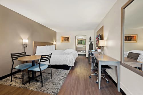 Red Roof Inn PLUS+ & Suites Naples Downtown-5th Ave S, Room