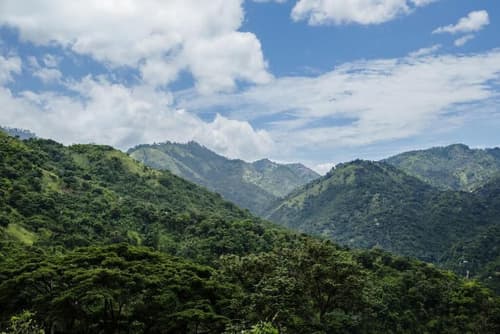 Strawberry Hill, Miscellaneous