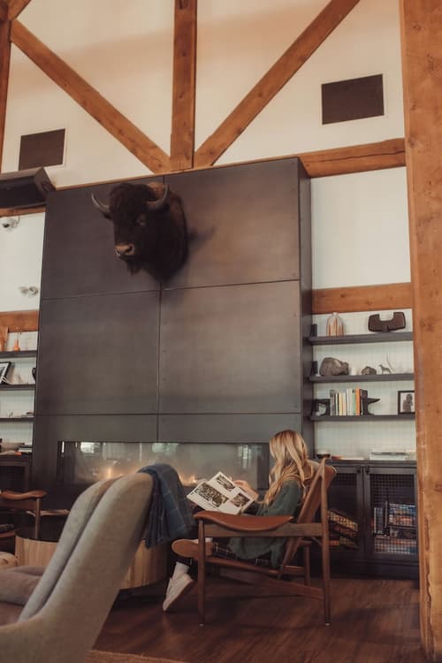 Buffalo Mountain Lodge, Reception