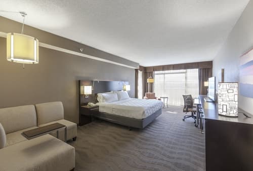 Holiday Inn Austin Midtown by IHG, Room