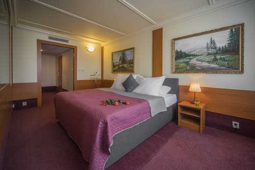 TOP HOTEL Praha & Conference Centre, Room