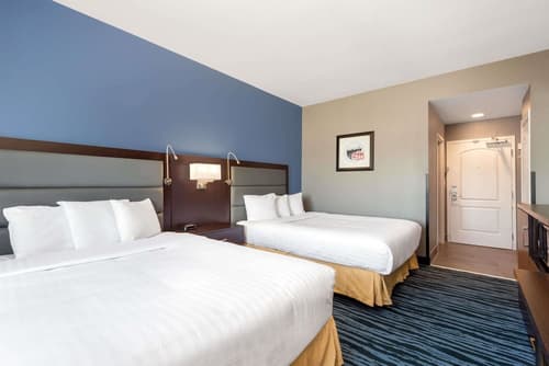 Hotel 1550 - SFO Airport, Room