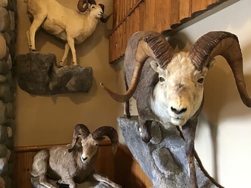 AmericInn by Wyndham Cody, Lobby