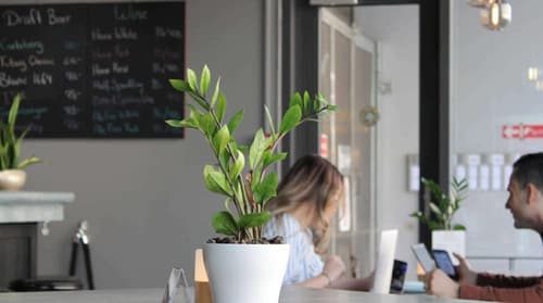 Comfort Hotel Vesterbro