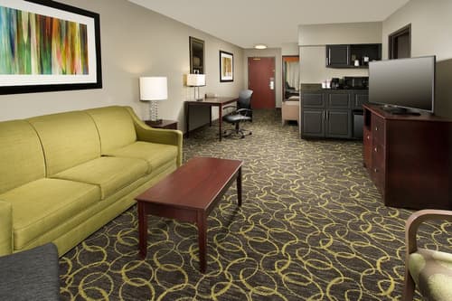 Holiday Inn Express & Suites DFW - Grapevine by IHG, Room