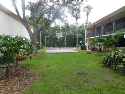 Ramada by Wyndham Kissimmee Gateway, Basketball court