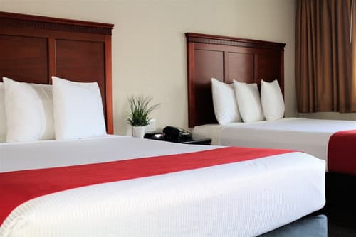 Rodeway Inn South San Francisco Airport, Room