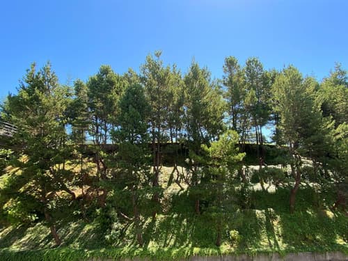 Best Western Plus Agate Beach Inn, View from room