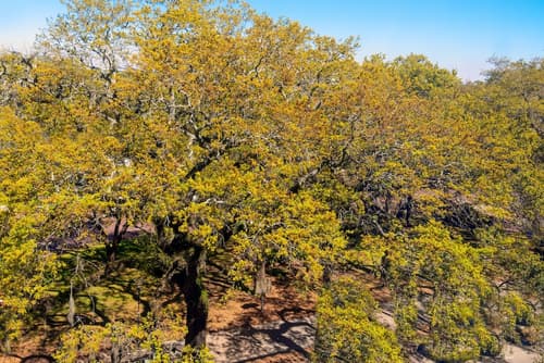 Hampton Inn Savannah-Historic District, View from room