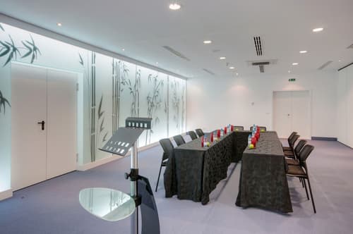 Hotel Coimbra Aeminium, Affiliated by Meliá, Meeting facility