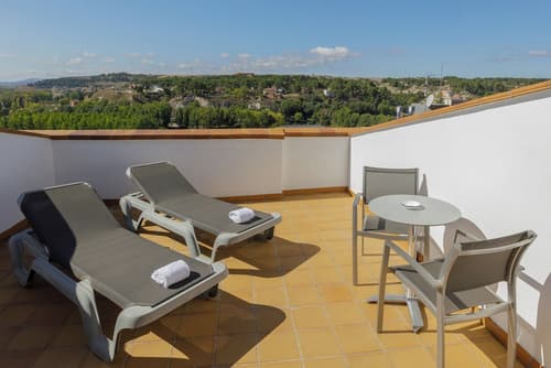 Hotel Reina Cristina, Terrace/patio