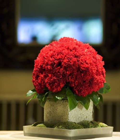 Hotel d'Angleterre Geneva, Lobby