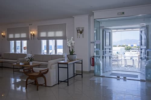 Mykonos Adonis Hotel, Reception