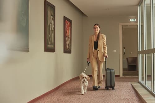 Ratonda Centrum Hotels, Reception