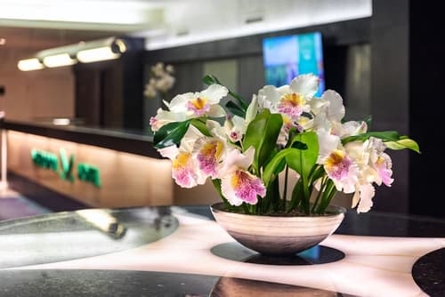 Hotel Metropol, Lobby