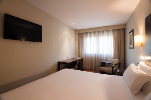 Hotel Ciudad de Valladolid, Room