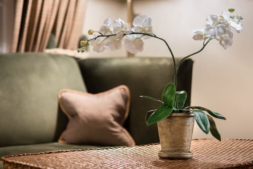 Home Hotel Bastion, Lobby