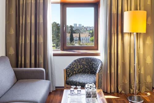 Radisson Blu Hotel, Room