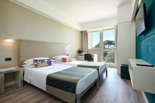 Hotel Roma Tor Vergata, Room