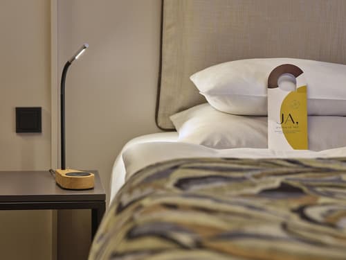 Classik Hotel Alexander Plaza, Room