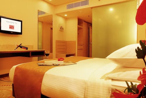 The Metropolitan Hotel and Spa New Delhi, Room
